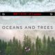 JT Cannon | ‘Oceans And Trees’