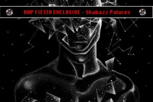 Shabazz Palaces | ‘Quazarz: Born on a Gangster Star’