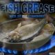 Mack Jus | ‘Fish Grease’ Fire Straight Out The Pan