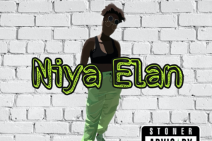 Niya Elan | ‘Put in Work’, Set The Tone For A Chill Night In