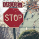 Sicario Sosa | ‘Cascade St’ ,A Hitman’s Pandemic Therapy