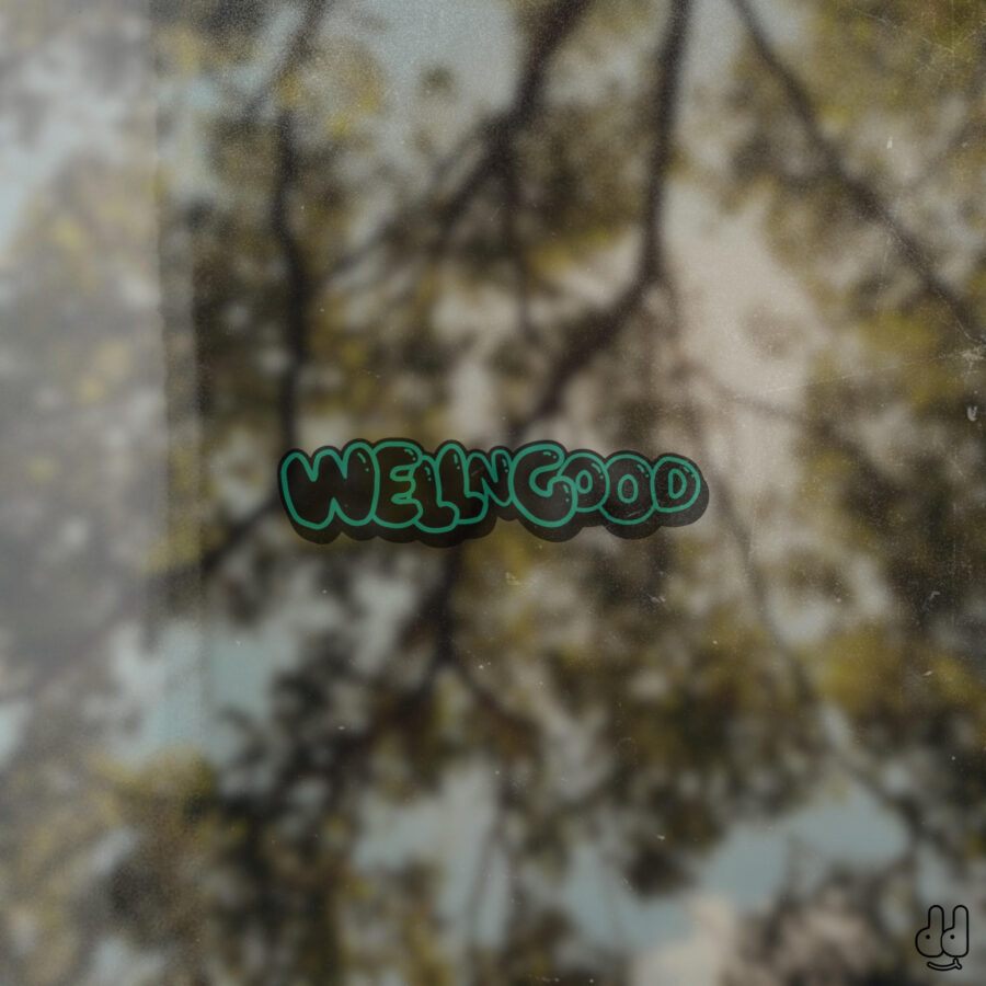 Bauxmonk | “WELLNGOOD”, 14 Tracks of Elite Production